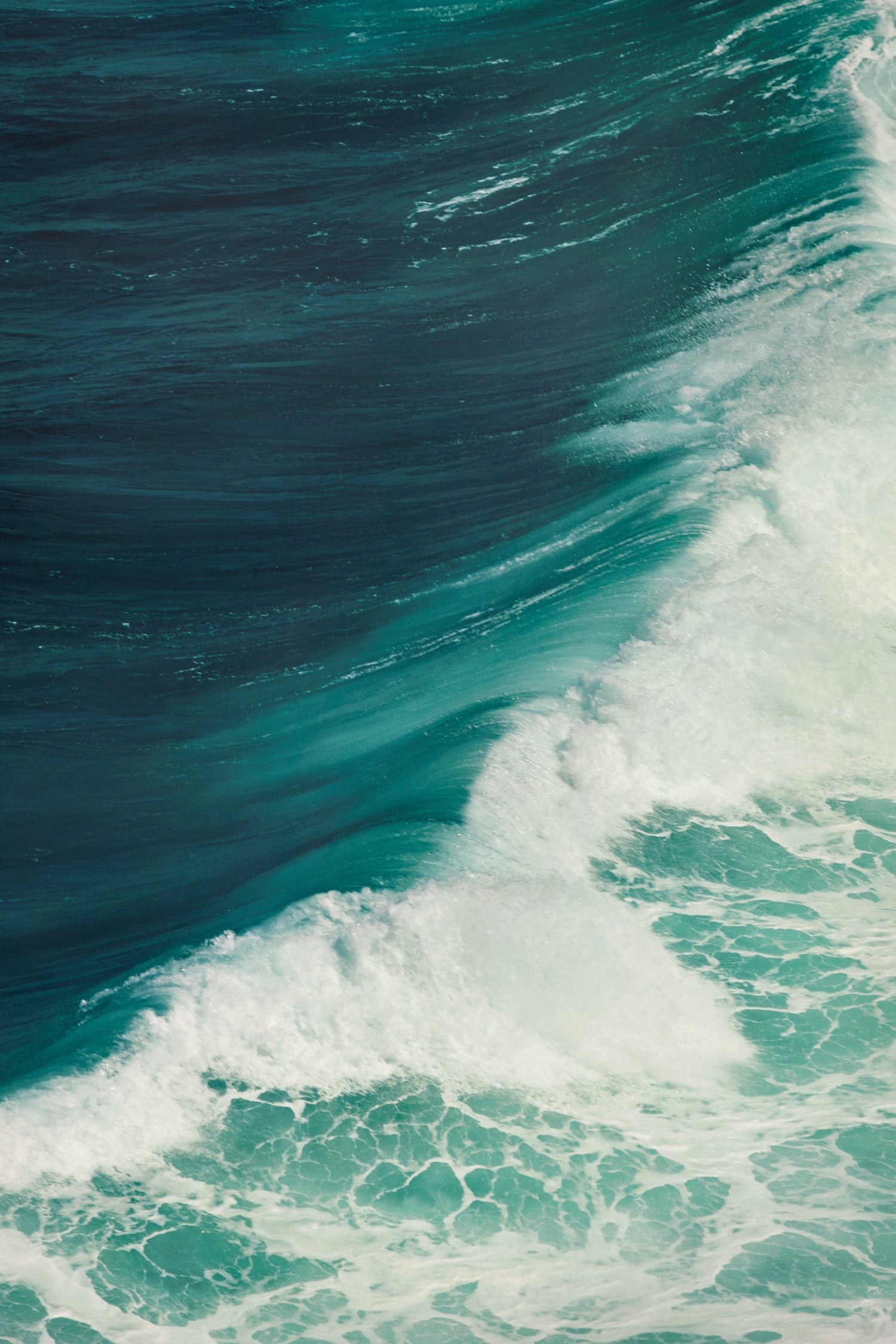 The Living Sea