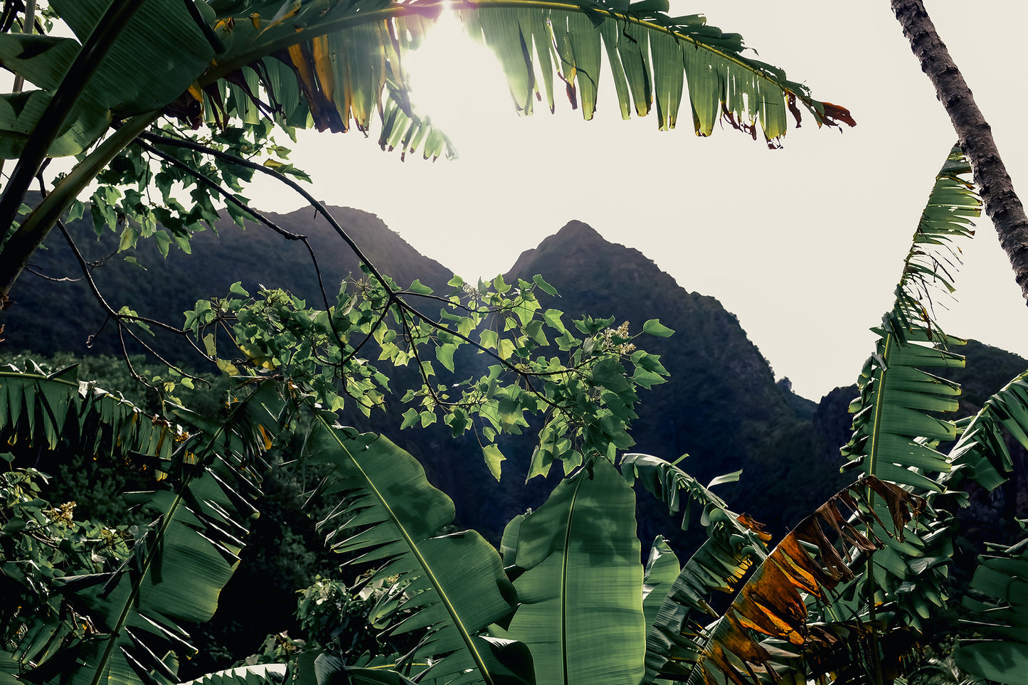ʻĪao Valley