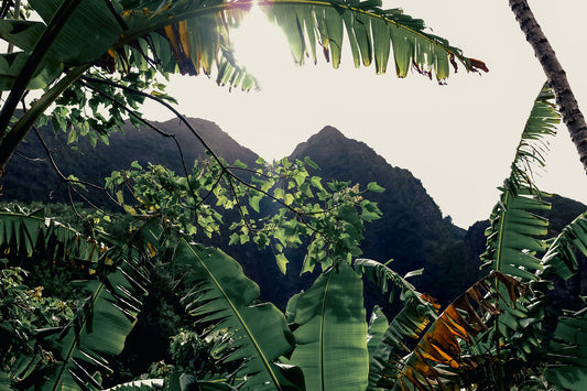 ʻĪao Valley