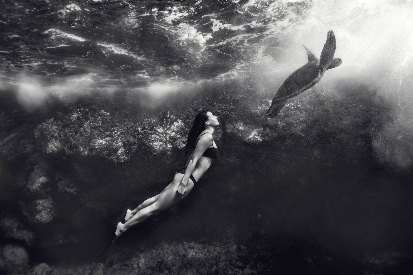 Emergence